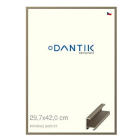 DANTIK rámeček 29,7 × 42, ALU profil 6001 champagne plexi čiré