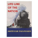 Ilustrace American Railroads, Vintage Travel Poster, 30x40 cm