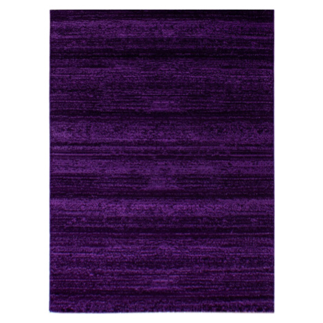 Ayyildiz koberce Kusový koberec Plus 8000 lila Rozměry koberců: 120x170