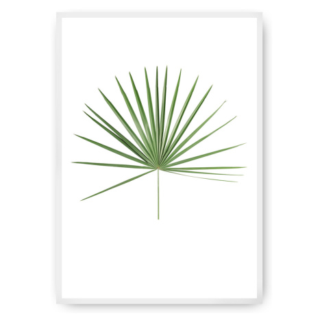 Dekoria Plakát Tropical Leaf Green, 21 x 30 cm, Vybrat rám: Bílý