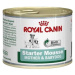 Royal Canin Starter Mousse 3 × 195 g