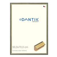 DANTIK rámeček 50 × 70, INCLINATA colori béžový plexi čiré