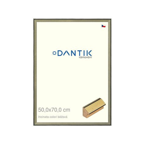 DANTIK rámeček 50 × 70, INCLINATA colori béžový plexi čiré