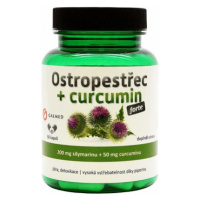 Ostropestřec+curcumin forte cps.60 Galmed