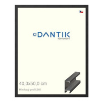 DANTIK rámeček 40 × 50, ALU profil 6240 Černý matný plexi čiré