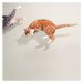 Fotografie Cats in mid air against white wall, Paula Daniëlse, 40x40 cm