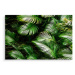 MyBestHome BOX Plátno Zelené Palmové Listy Varianta: 120x80