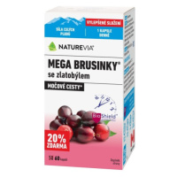 NatureVia Mega brusinky cps.60