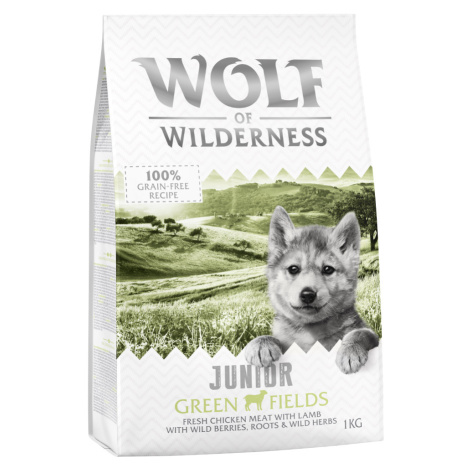 Little Wolf of Wilderness Junior - Green Fields - jehněčí - 5 x 1 kg