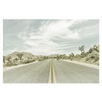 Fotografie Country Road with Joshua Trees, Melanie Viola, 40x26.7 cm