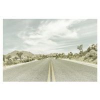 Fotografie Country Road with Joshua Trees, Melanie Viola, 40 × 26.7 cm