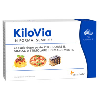 KiloVia – KilaPryč