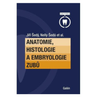 Anatomie, histologie a embryologie zubů