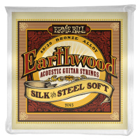 Ernie Ball 2045 Earthwood Silk & Steel Soft