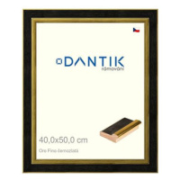 DANTIK rámeček 40 × 50, Oro Fino černozlatý sklo čiré