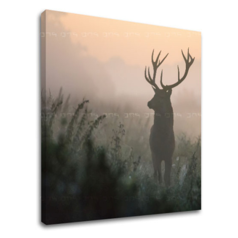 Nástěnná malba ZVÍŘATA_054-12