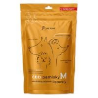 Curepoint CBD pamlsek Recovery M 100 g