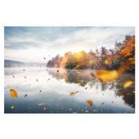 Fotografie Flying Autumn Leaves, borchee, 40 × 26.7 cm