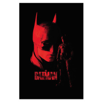 Umělecký tisk Batman - Shadow my friend, 26.7 × 40 cm