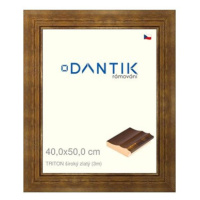 DANTIK rámeček 40 × 50, TRITON široký zlatý plexi čiré