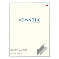 DANTIK rámeček 30 × 40, ALU profil 6030 Bílý matný plexi čiré