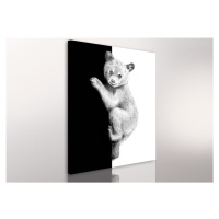 Obraz na plátně TEDDY BEAR různé rozměry Ludesign ludesign obrazy: 80x60 cm