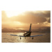 Microsoft Flight Simulator Premium Deluxe (PC)