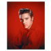 Fotografie Elvis Presley 1956, (30 x 40 cm)