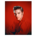 Fotografie Elvis Presley 1956, 30 × 40 cm