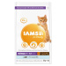 IAMS Cat Kitten Ocean Fish 2 kg