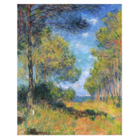 Obrazová reprodukce Allée de sapins à Varengeville, Claude Monet, 30 × 40 cm