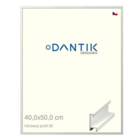 DANTIK rámeček 40 × 50, ALU profil 6035 Dýha bílý sklo čiré