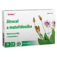 Dr. Max Herbal Jitrocel a mateřídouška bylinné pastilky 36 pastilek