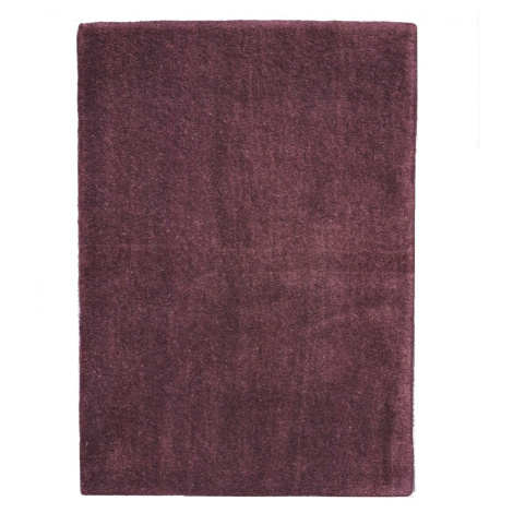 Asra, Ručně všívaný kusový koberec Asra wool tm. fialová, 120x170, fialová, ložnice