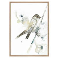 Plakát v rámu 50x70 cm Bird 2 – Malerifabrikken