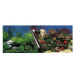 Ebi Photo Decor Stone Coral 80 × 40 cm