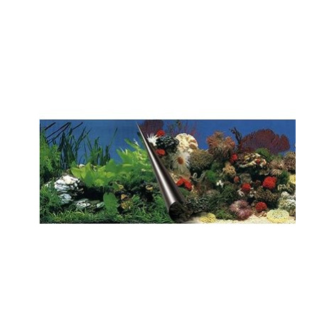 Ebi Photo Decor Stone Coral 80 × 40 cm