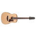 Ibanez AAD1012E-OPN - Open Pore Natural