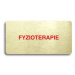 Accept Piktogram "FYZIOTERAPIE" (160 × 80 mm) (zlatá tabulka - barevný tisk bez rámečku)