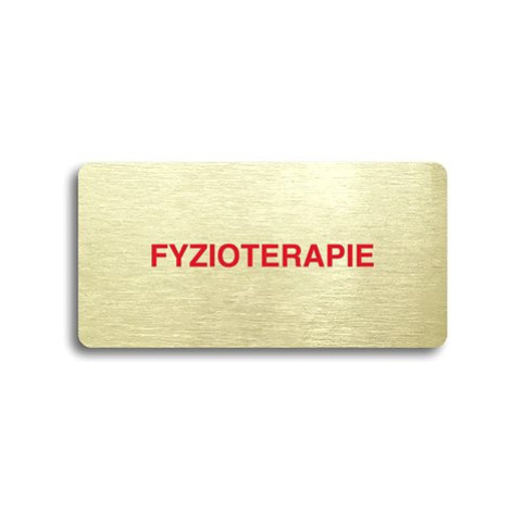 Accept Piktogram "FYZIOTERAPIE" (160 × 80 mm) (zlatá tabulka - barevný tisk bez rámečku)
