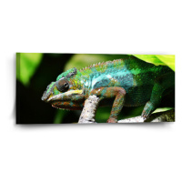 Sablio Obraz Chameleon - 110x50 cm