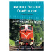 Kronika železnic českých zemí (A nejkrásnější tratě) - kniha z kategorie Automobily a doprava