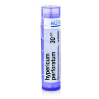 Hypericum perforatum 30CH granule 1x4g