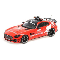 1:18 MERCEDES-AMG GT-R - 'SAFETY CAR FORMULE 1 202