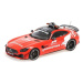 1:18 MERCEDES-AMG GT-R - 'SAFETY CAR FORMULE 1 202