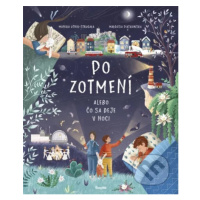 Po zotmení (Alebo čo sa deje v noci) - Monika Utnik-Strugała, Małgosia Piątkowska - kniha z kate