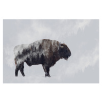 Fotografie Bison - Double Exposure, Angyalosi Beata, 40 × 26.7 cm