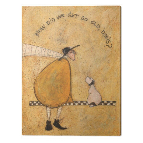 Obraz na plátně Sam Toft - How Dis We Get So Old, Doris?, 2 - 30×40 cm Pyramid