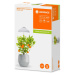 OSRAM LEDVANCE Indoor Garden Umberella USB pro pěstování rostlin 4058075576155