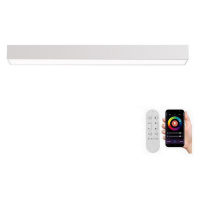 Neo  NEO 07258L - LED Stmívatelné svítidlo LUNGO 29W/230V Wi-Fi Tuya bílá + DO